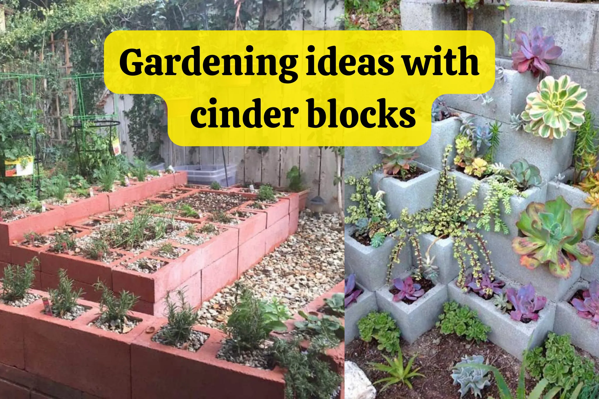 gardening ideas with cinder blocks